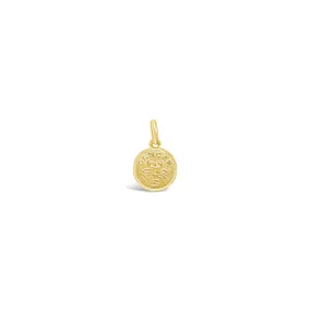 10K Gold Zodiac Charm