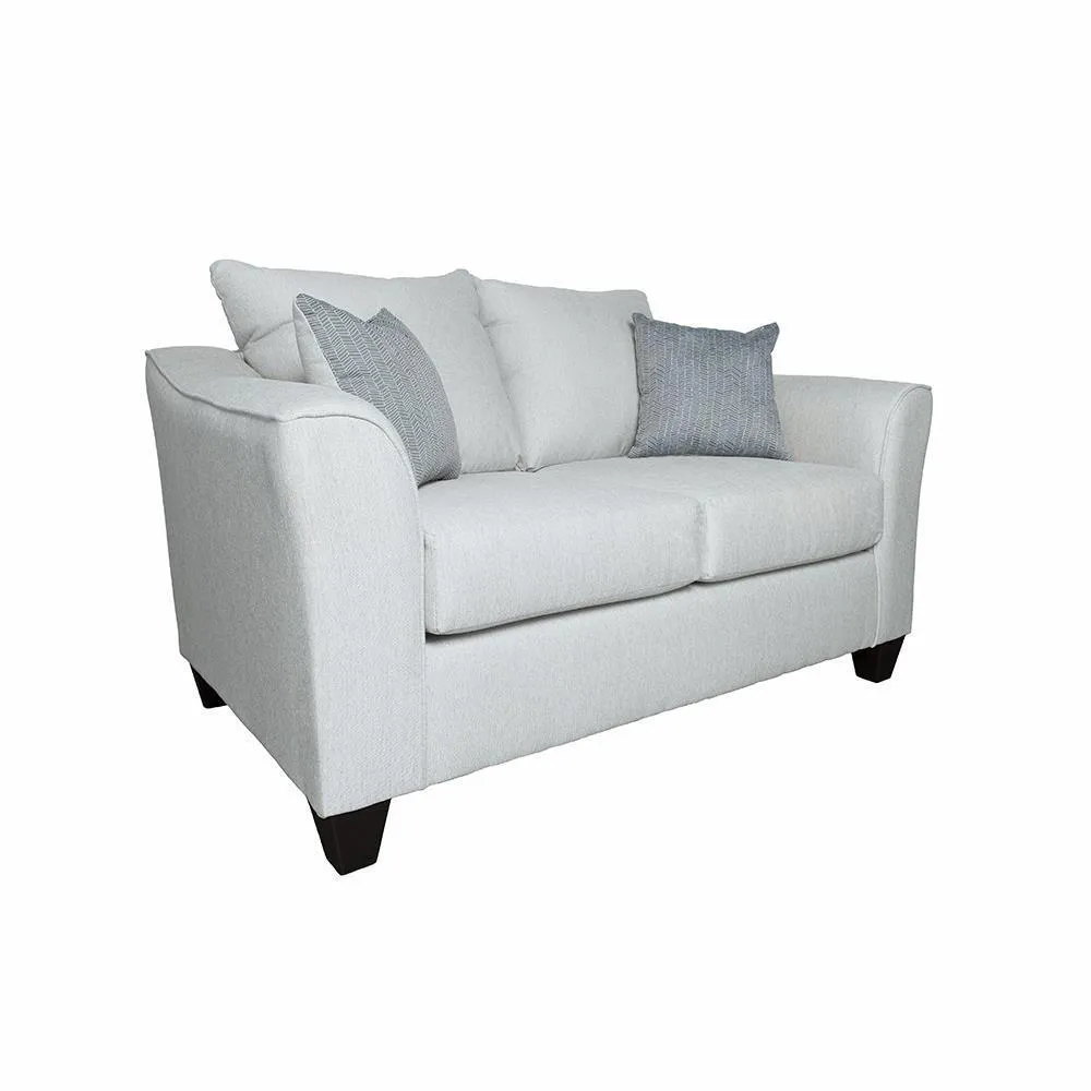 Coaster Furniture Salizar 508581-S2 2 pc Living Room Set