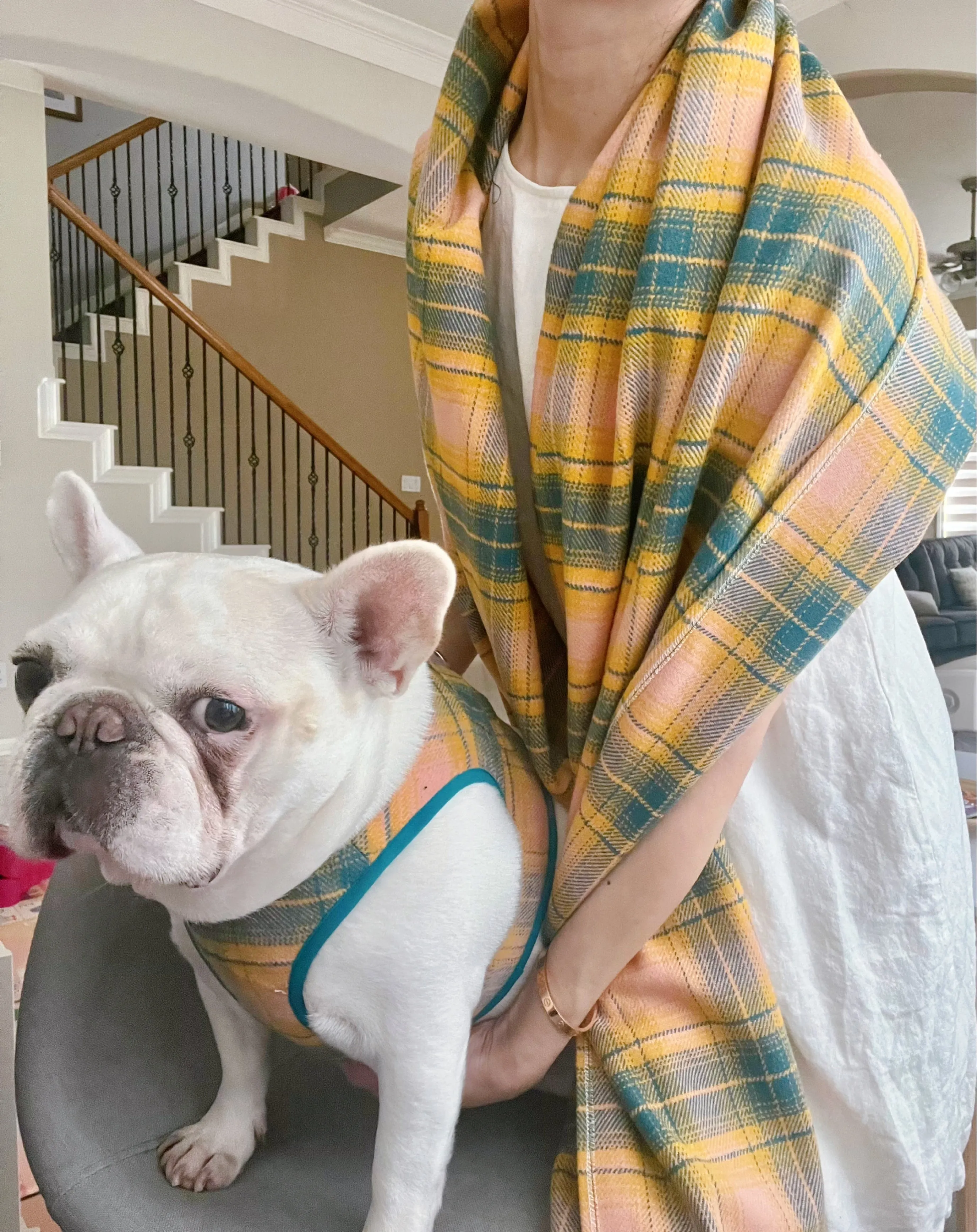 Pet and Owner Matching Shawl and Hardness