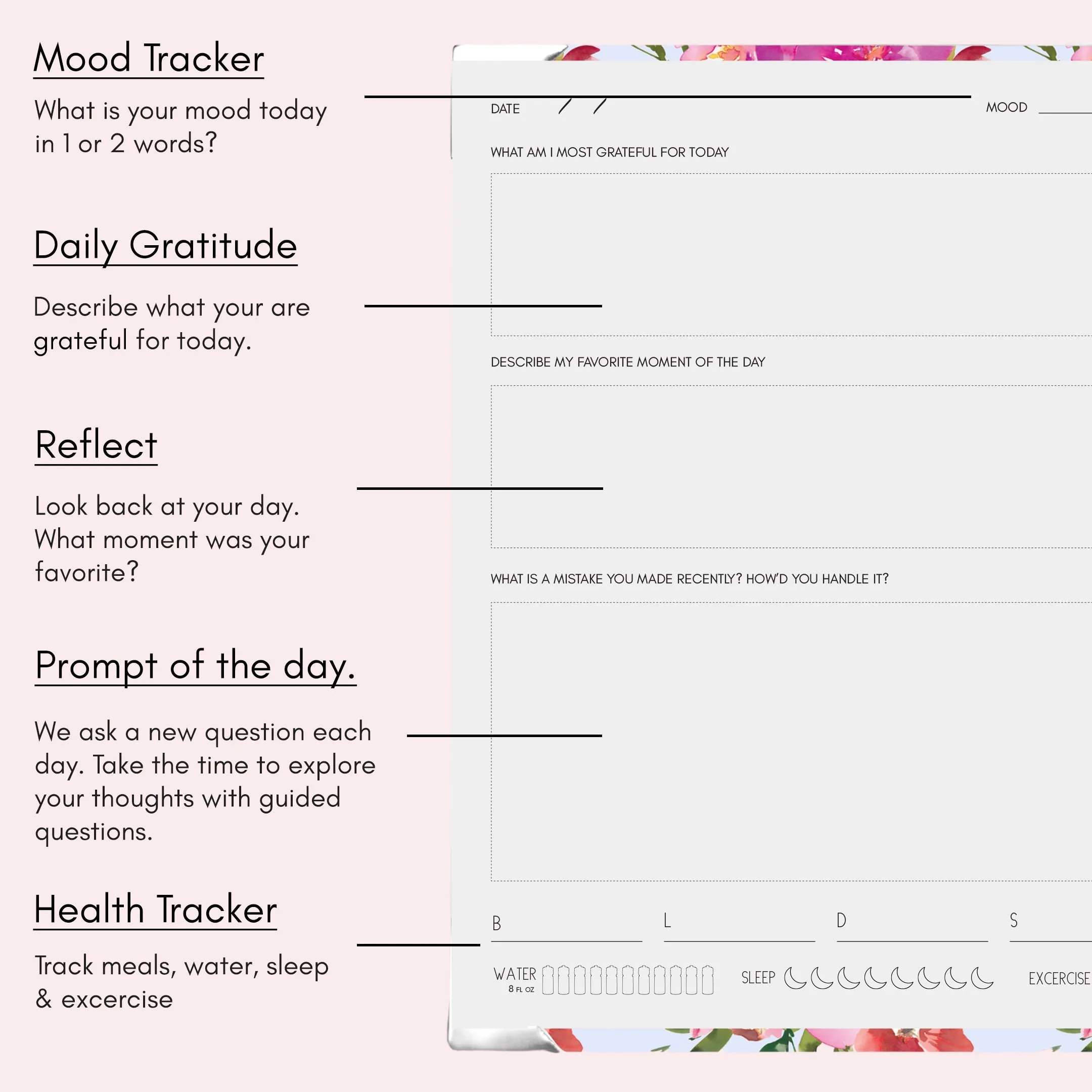 Rose Quartz | Wellness Journal