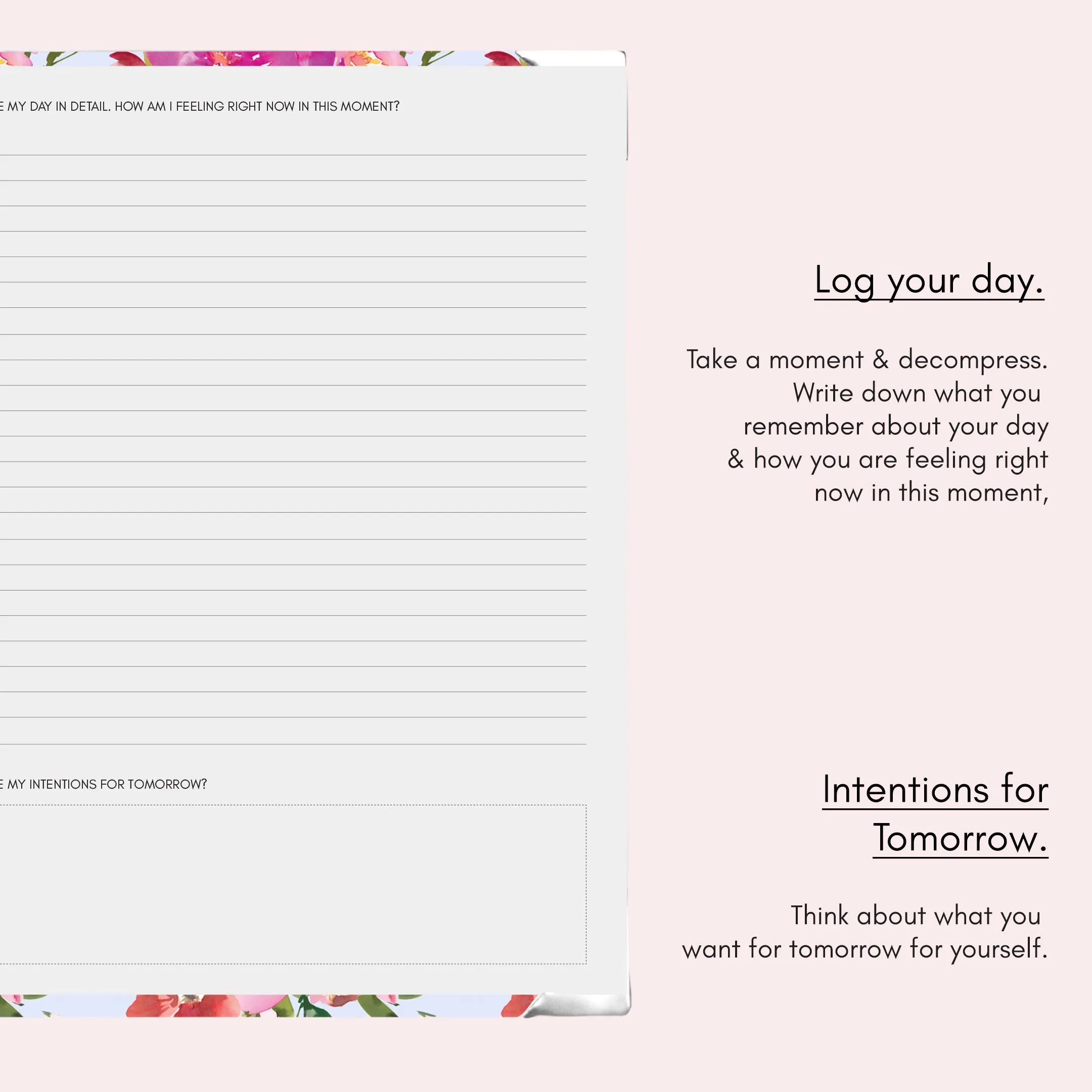 Rose Quartz | Wellness Journal